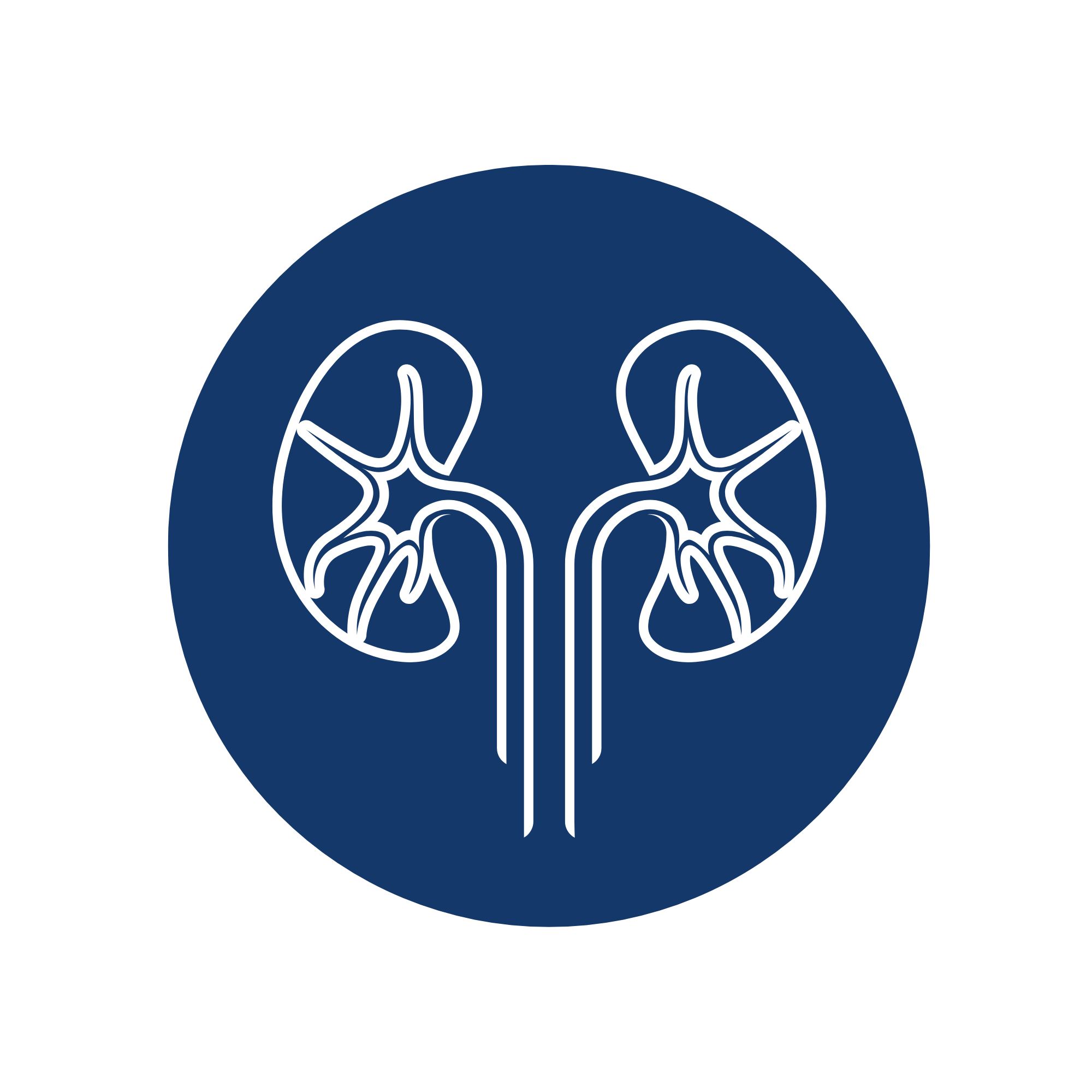 KIDNEY 1